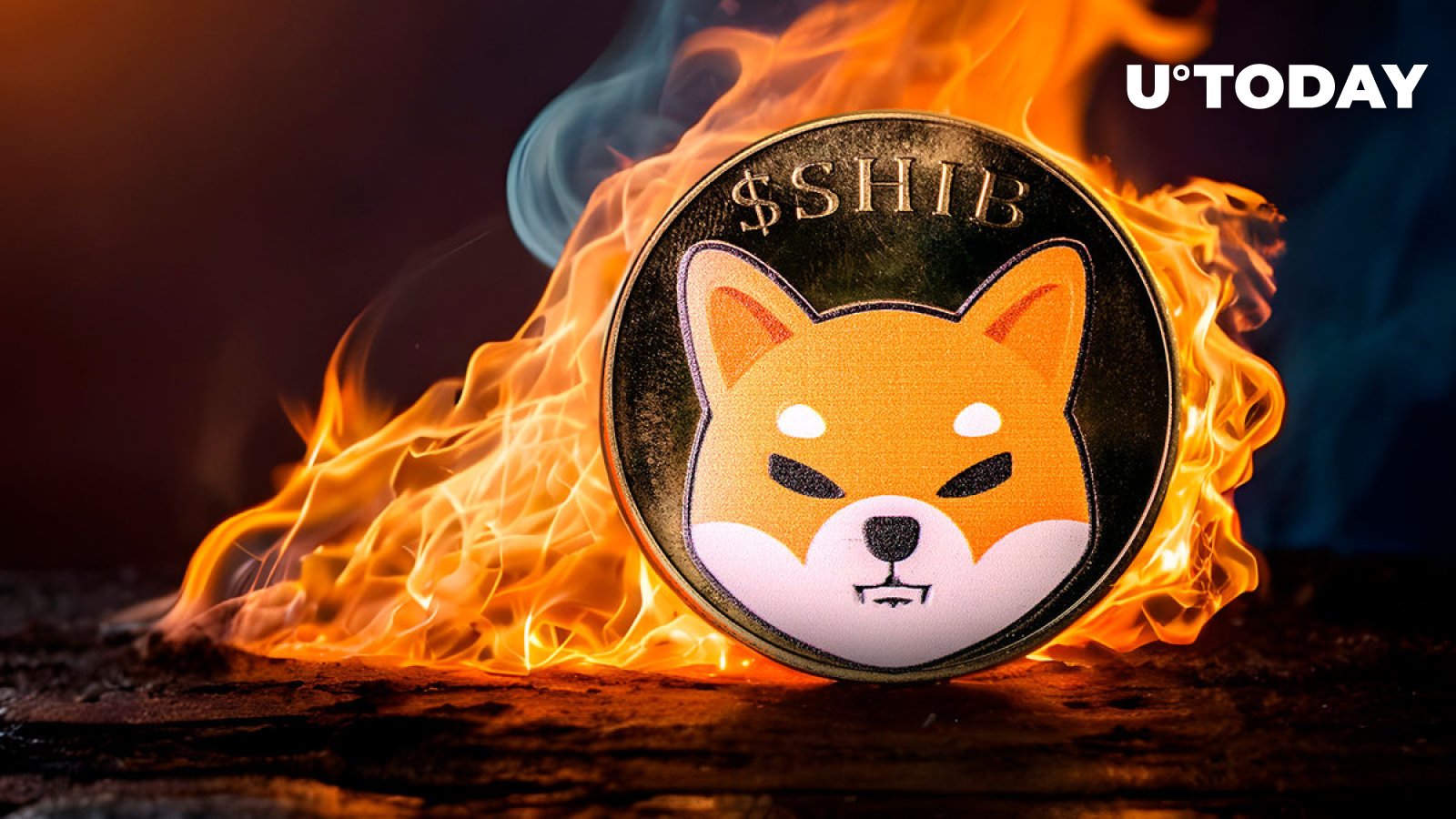 نرخ سوختگی Shiba Inu (SHIB) به 8.193% افزایش یافت، قیمت افزایش یافت