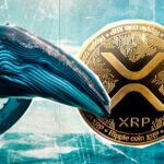 Crypto Whale 20 میلیون XRP از صرافی برتر کره ای خریداری می کند