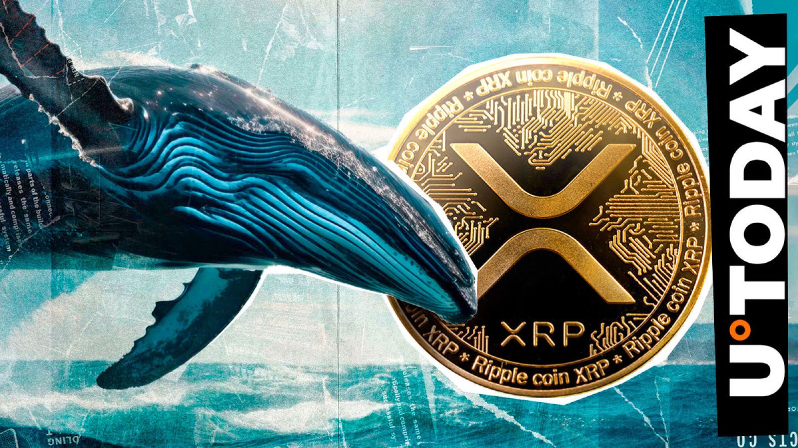 Crypto Whale 20 میلیون XRP از صرافی برتر کره ای خریداری می کند