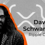 "چرا فقط XRP را نمی سوزانیم؟": مدیر ارشد فناوری Ripple به ابتکار جدید XRPL شک دارد