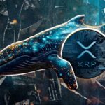 نهنگ جدید مگا XRP با 104 میلیون تبادل XRP متولد شد: جزئیات