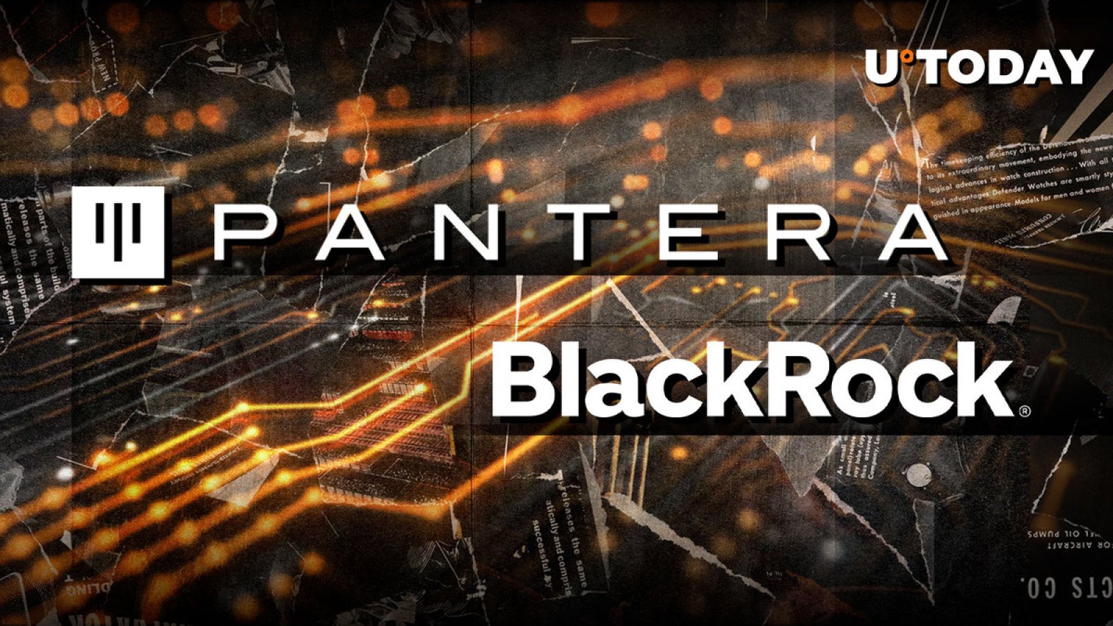 مدیر عامل سابق BlackRock به Crypto VC Heavyweight Pantera Capital می پیوندد