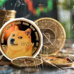 72% Dogecoin (DOGE) آدرس های جدید Spike - چه اتفاقی می افتد؟