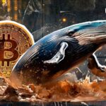 با شروع Uptober، 7240٪ سود بیت کوین توسط نهنگ BTC Sleeping ایجاد شد