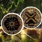 کاردانو 300٪ در جریان سرمایه، XRP همچنین در سبز افزایش می یابد