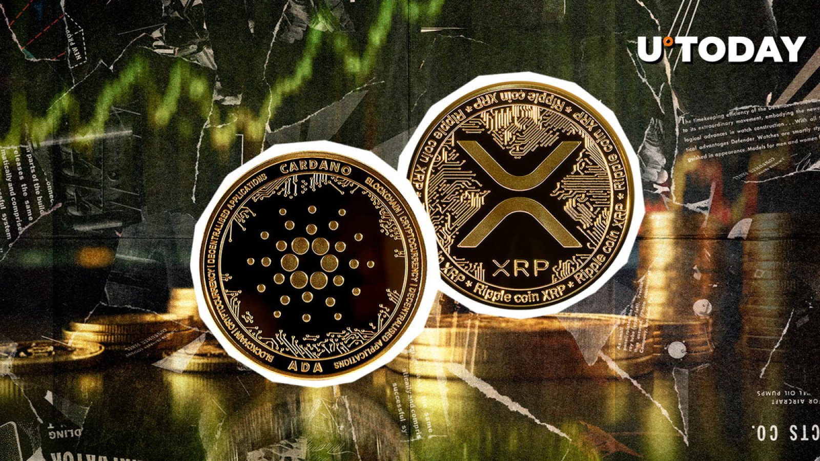 کاردانو 300٪ در جریان سرمایه، XRP همچنین در سبز افزایش می یابد