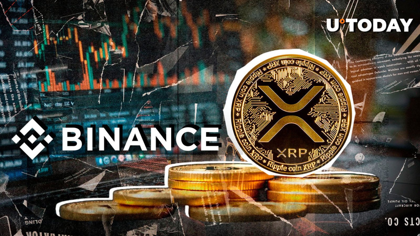 افزایش در هولدینگ XRP بایننس: آیا گاو برگشته است؟