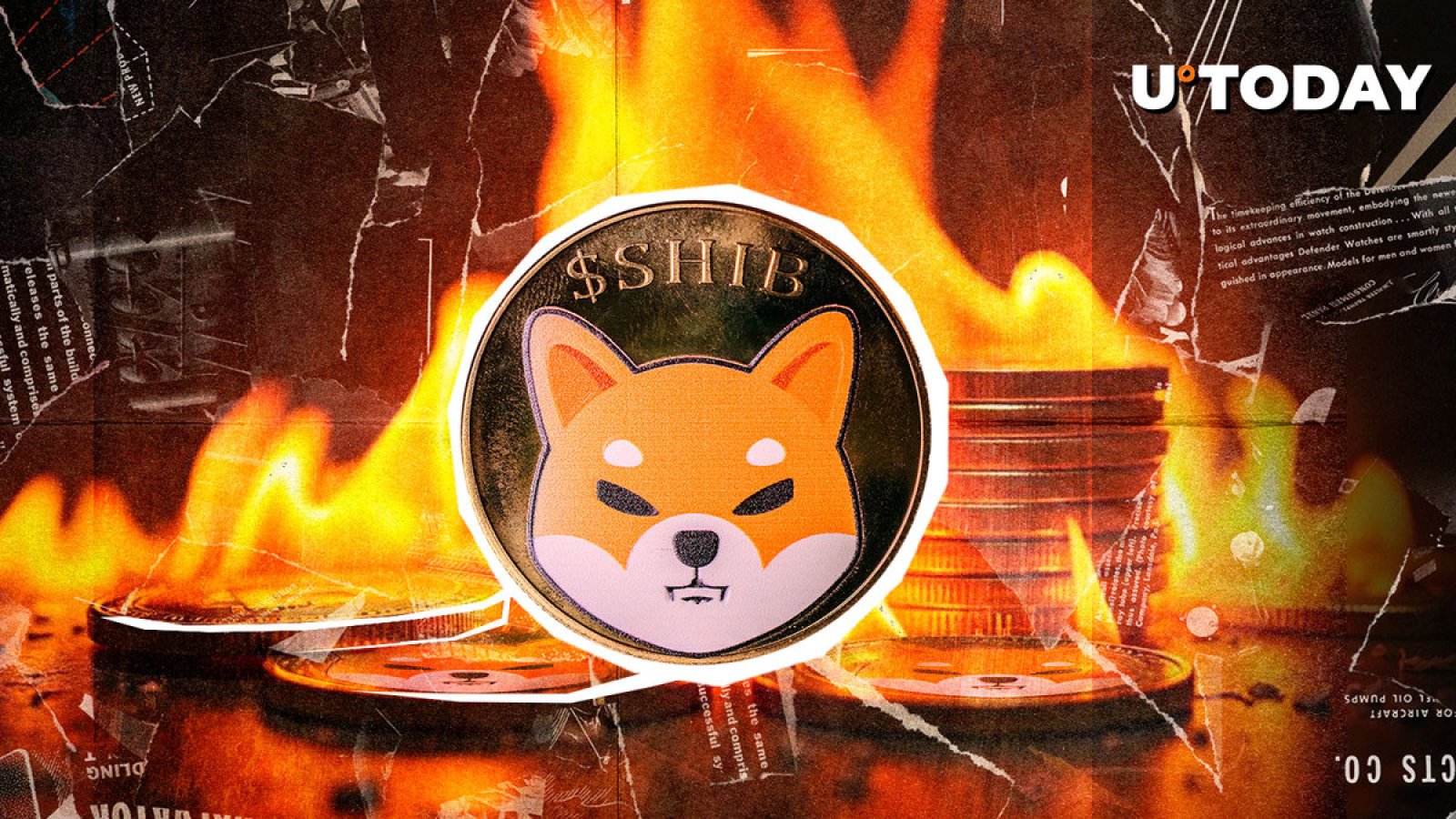 با فروپاشی SHIB Burns، Shiba Inu 4.6٪ کاهش می یابد