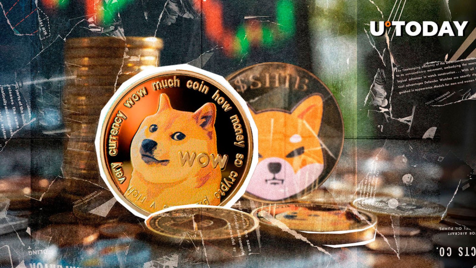 Dogecoin قهرمان سرمایه گذاران در برابر SHIB و PEPE می شود: گزارش