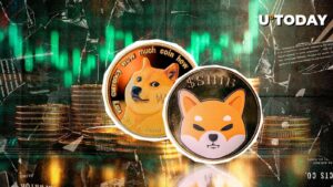 DOGE و SHIB با 5 ماه فعالیت اجتماعی بالا بر بازار ارزهای دیجیتال تسلط یافتند.