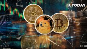 نهنگ های BTC، DOGE و ADA ممکن است باعث افزایش قیمت شوند، در اینجا دلیل آن است