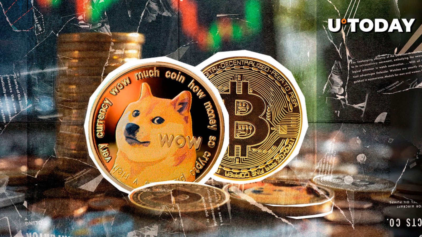 یکی از بنیانگذاران Dogecoin پیامی حماسی برای بیت کوین ارسال کرد