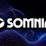 Somnia مقاله جدیدی را با جزئیات در مورد بلاک چین EVM منتشر کرد