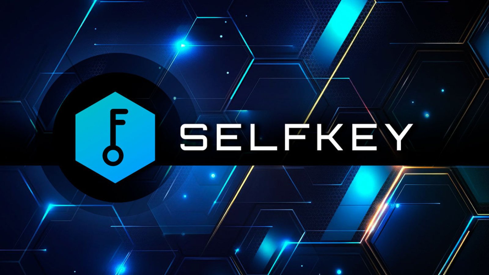 SelfKey رفراندوم انجمن را در مورد ادغام احتمالی راه اندازی می کند: جزئیات