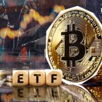 301 میلیون دلار از صندوق های ETF بیت کوین حذف شد، چه اتفاقی افتاد؟