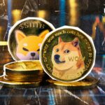 Dogecoin (DOGE) 27٪ افزایش یافت: آیا Shiba Inu (SHIB) بزرگتر می شود؟