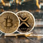 XRP و بیت کوین منجر به افزایش 2.2 میلیارد دلاری ارز دیجیتال شدند