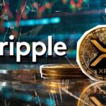 60 میلیون XRP توسط Ripple Amid Partnership News به کیف پول Anon منتقل شد