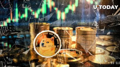 دوج کوین (DOGE) 25 درصد افزایش یافت: تحلیلگر رشد 0.82 دلاری را پیش بینی می کند