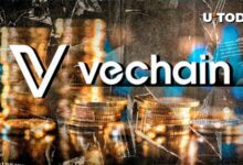 VeChain (VET) 45 درصد افزایش می یابد: چه چیزی باعث این امر می شود؟