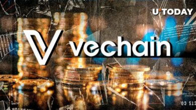 VeChain (VET) 45 درصد افزایش می یابد: چه چیزی باعث این امر می شود؟