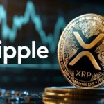 ریپل چند توکن XRP را نگه می دارد؟