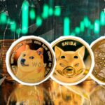 حتی Dogecoin، Shiba Inu، و Cardano ممکن است در سال 2025 رالی کنند، در اینجا دلیل آن است