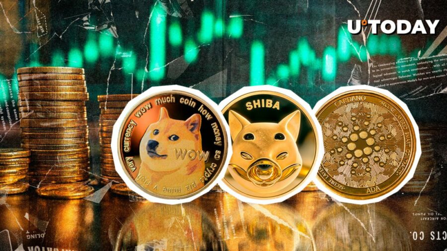 حتی Dogecoin، Shiba Inu، و Cardano ممکن است در سال 2025 رالی کنند، در اینجا دلیل آن است