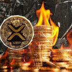 13 میلیون XRP سوزاندن موفقیت بعدی است