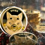 Shiba Inu (SHIB) با 81 درصد سود به Crypto Elite می‌پیوندد، اما یک تغییر حماسی در حال رخ دادن است