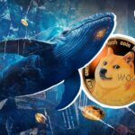 550 میلیون Dogecoin (DOGE) در هفت روز چه اتفاقی می افتد؟