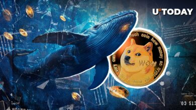 550 میلیون Dogecoin (DOGE) در هفت روز چه اتفاقی می افتد؟