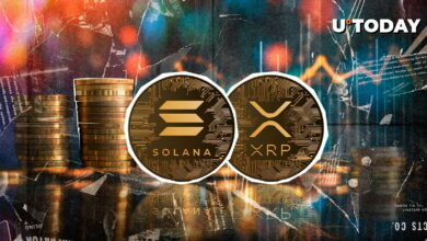 XRP از Solana بهتر عمل می کند زیرا انحلال طولانی مدت تثبیت می شود