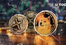 بهترین معامله گر Dogecoin به دنبال XRP بودجه است – در اینجا دلیل آن است