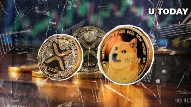 بهترین معامله گر Dogecoin به دنبال XRP بودجه است – در اینجا دلیل آن است