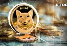 "هشدار باز" مهم SHIB از تیم Shiba Inu: جزئیات