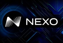 Nexo اولین حساب های شخصی USD را در Web3 راه اندازی کرد