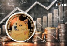 حجم دوج کوین (DOGE) 76 درصد افزایش یافت: آیا چیزی بزرگ در راه است؟