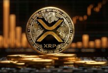 XRP در میان افزایش بی امان از BNB بهتر عمل می کند