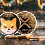 SHIB عملکرد بهتری از XRP دارد: افزایش 20% از سود 4% XRP بهتر است