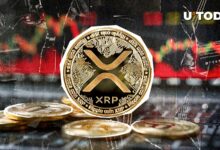 افزایش 454 درصدی XRP در عدم تعادل انحلال همزمان با افزایش قیمت سوخت