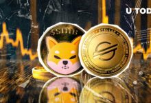 Stellar (XLM) Shiba Inu (SHIB) توسط Market Cap