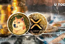 Dogecoin (DOGE) و XRP Shine با انحلال ارزهای دیجیتال به 493 میلیون دلار رسید