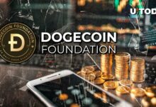 بنیاد Dogecoin هدف 2025 را اعلام کرد: جزئیات