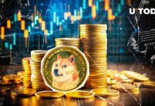 با افزایش پذیرش DOGE خرده فروشی، Dogecoin افزایش می یابد