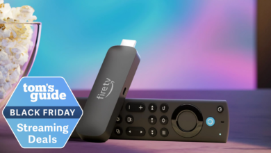 معاملات Black Friday Fire TV Stick 2024 — در حال حاضر تا 56 درصد صرفه جویی کنید