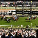 Without A Fight wins last year's Melbourne Cup ahead of Soulcombe and Sheraz