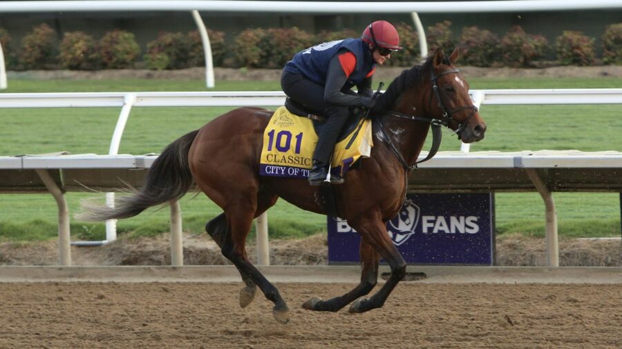 City of Troy on track in preparation for Breeders Cup Classic at Del Mar, California.