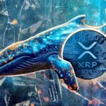 فعالیت نهنگ XRP با رسیدن قیمت به 3 دلار به بالاترین حد خود می رسد: جزئیات