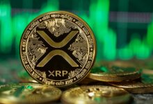 معامله گران برتر ادعا می کنند که XRP "بی نهایت بهتر" از Memecoins است